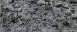 fibers distribute throughout the concrete